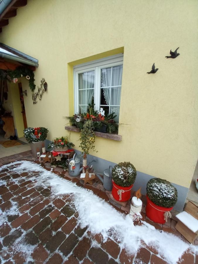 L'Alcove Des P'Tits Coeurs Villa Benfeld Екстериор снимка