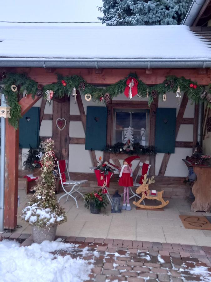 L'Alcove Des P'Tits Coeurs Villa Benfeld Екстериор снимка