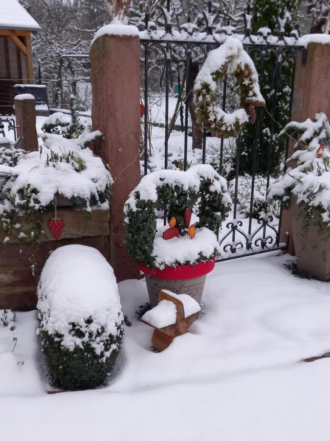 L'Alcove Des P'Tits Coeurs Villa Benfeld Екстериор снимка