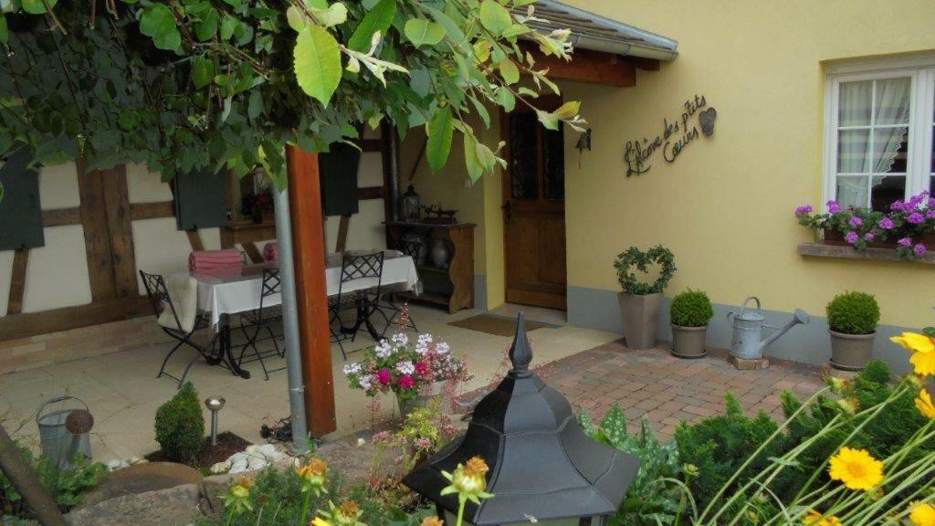 L'Alcove Des P'Tits Coeurs Villa Benfeld Екстериор снимка